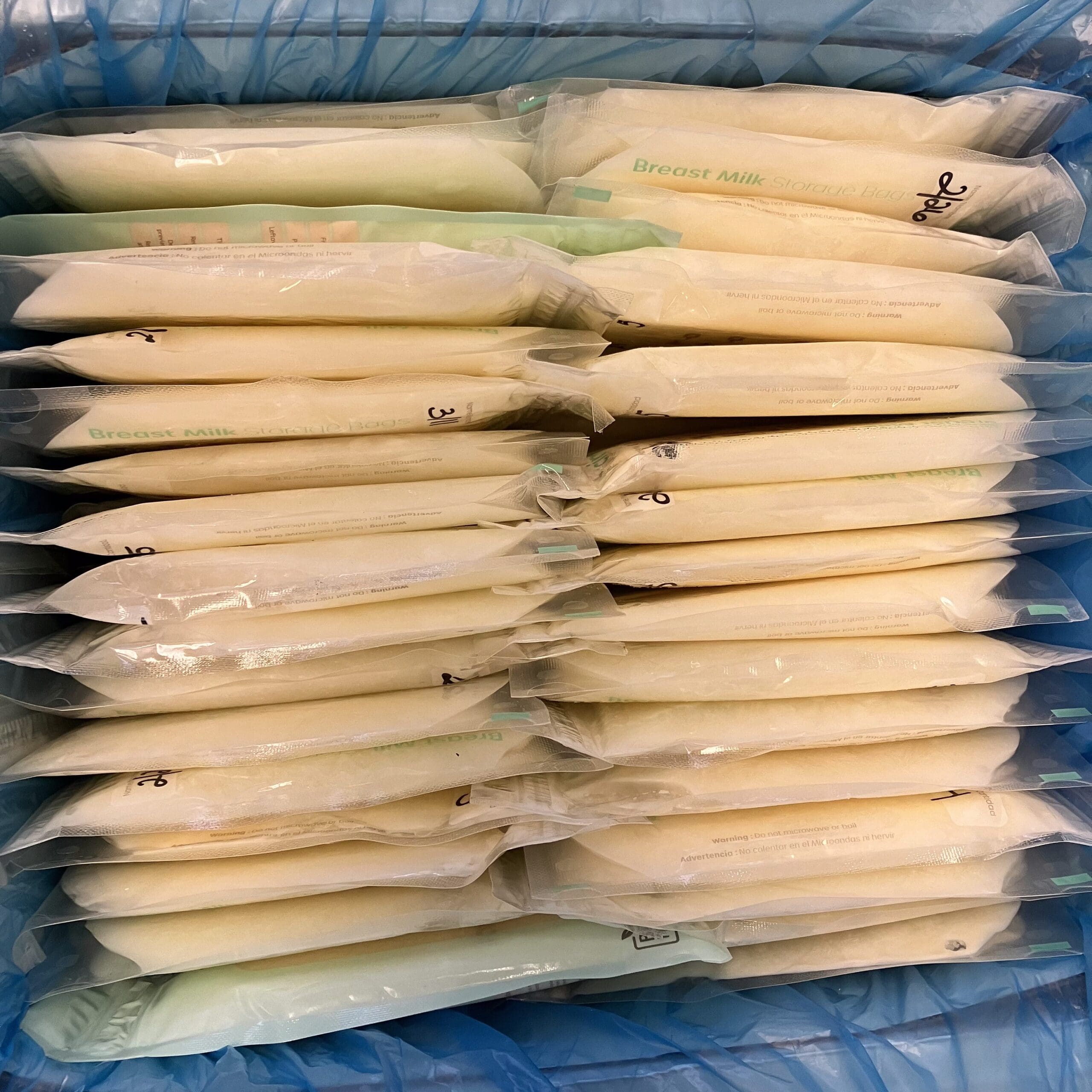 Flat storage pouch frozen shipping